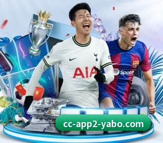 五大服务分区,信息按项目分类（Yabo）